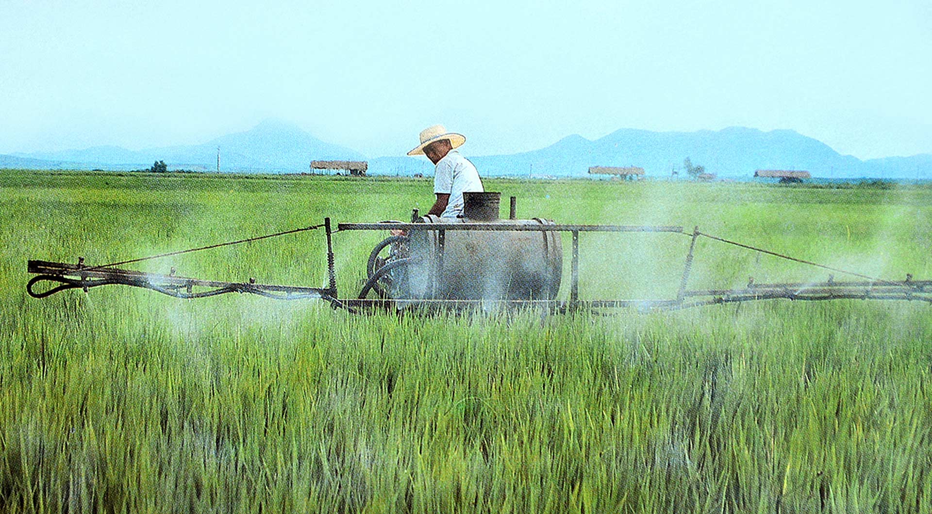 3-14년동안에 일어난 기적
